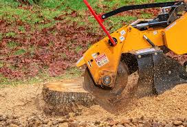 Best Aeration Services  in Albers, IL