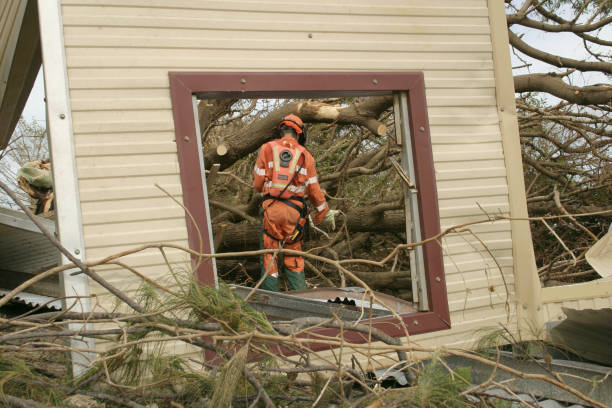 Best Tree Preservation Services  in Albers, IL