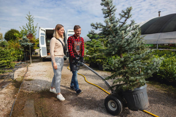 Best Utility Line Clearance  in Albers, IL